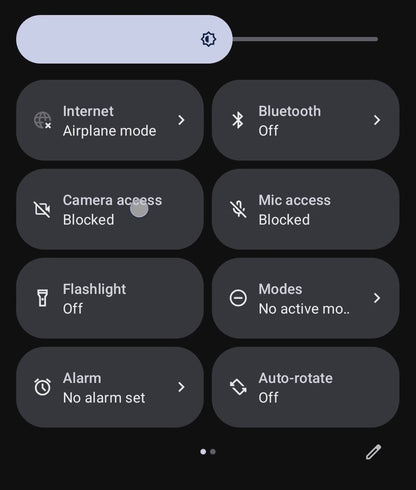 Privacy Pixel 9 Pro Fold